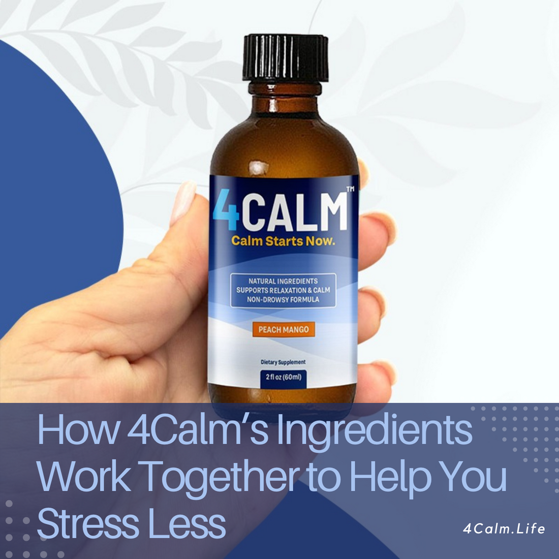 The Science of Calm: How 4Calm’s Ingredients Work Together to Help You Stress Less