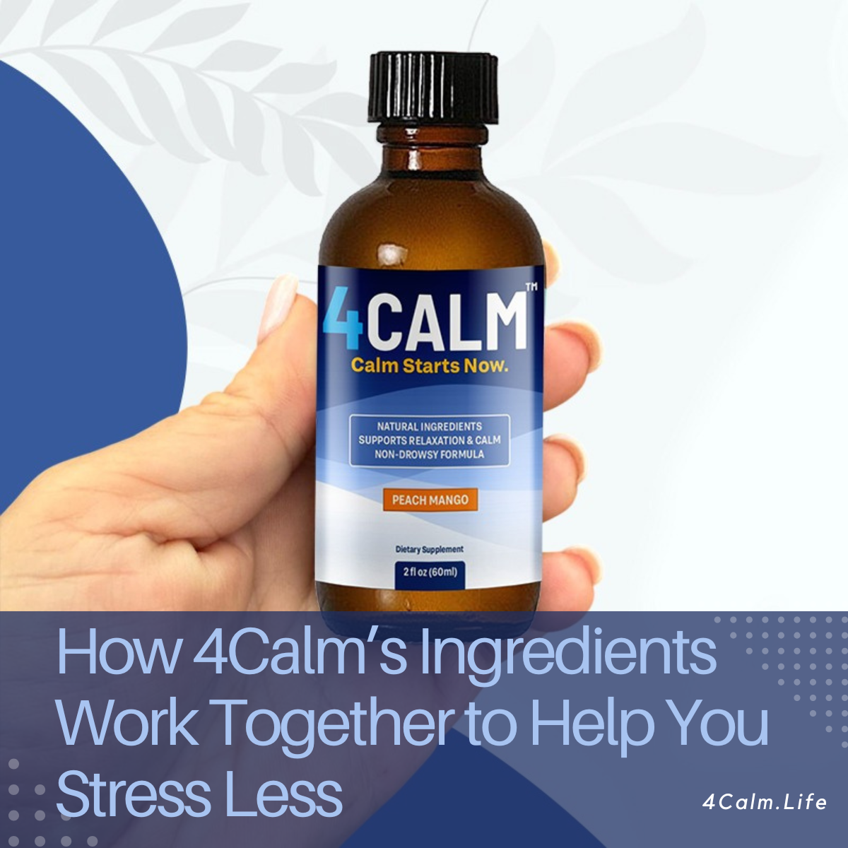 The Science of Calm: How 4Calm’s Ingredients Work Together to Help You Stress Less